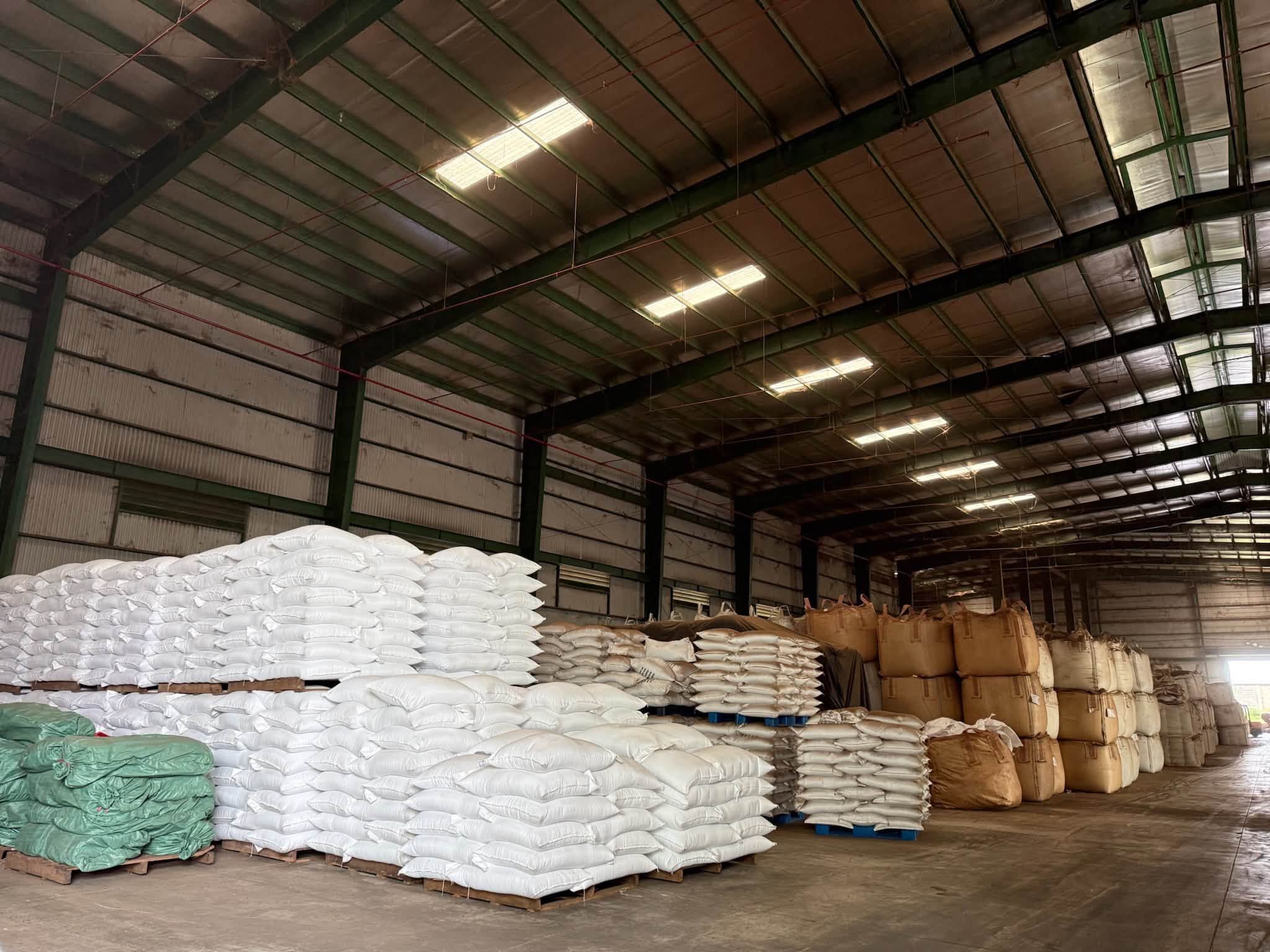 Xưởng sơ chế, Vùng trồng Gia Lai