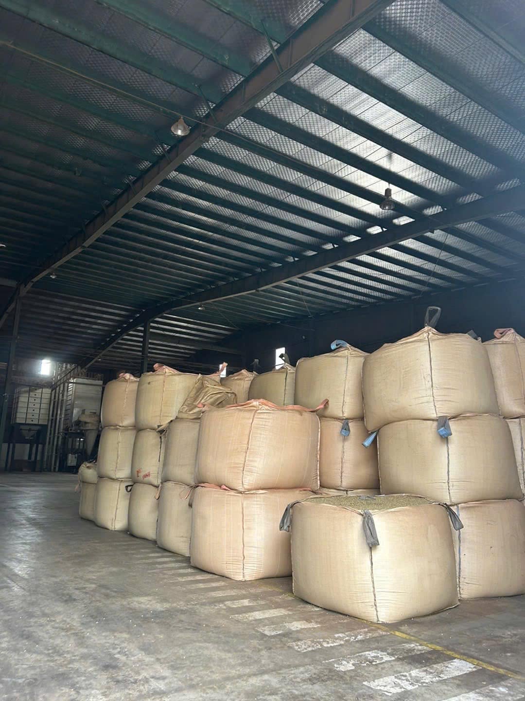 Xưởng sơ chế, Vùng trồng Gia Lai