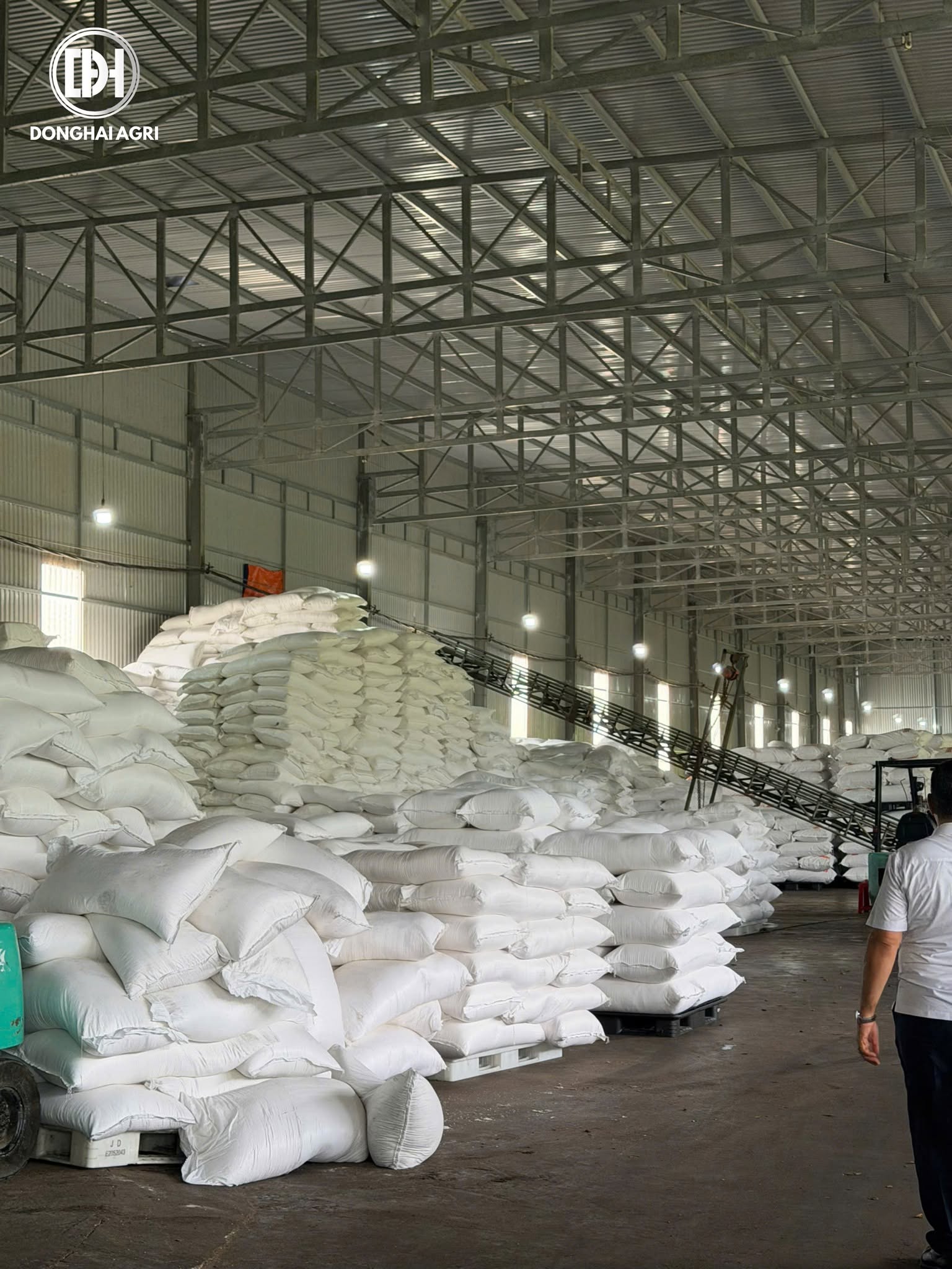 Xưởng sơ chế, Vùng trồng Gia Lai