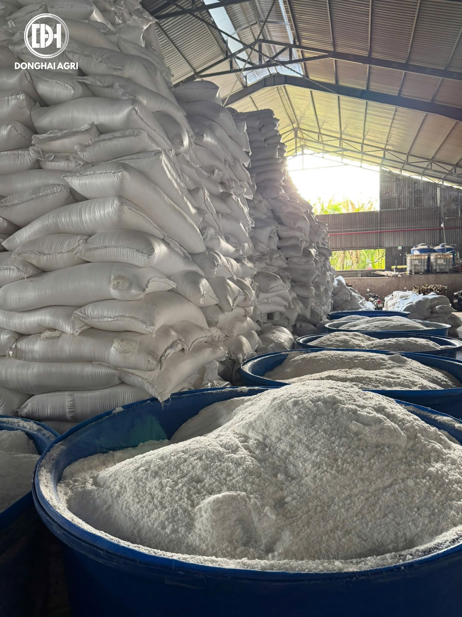 Xưởng sơ chế, Vùng trồng Gia Lai
