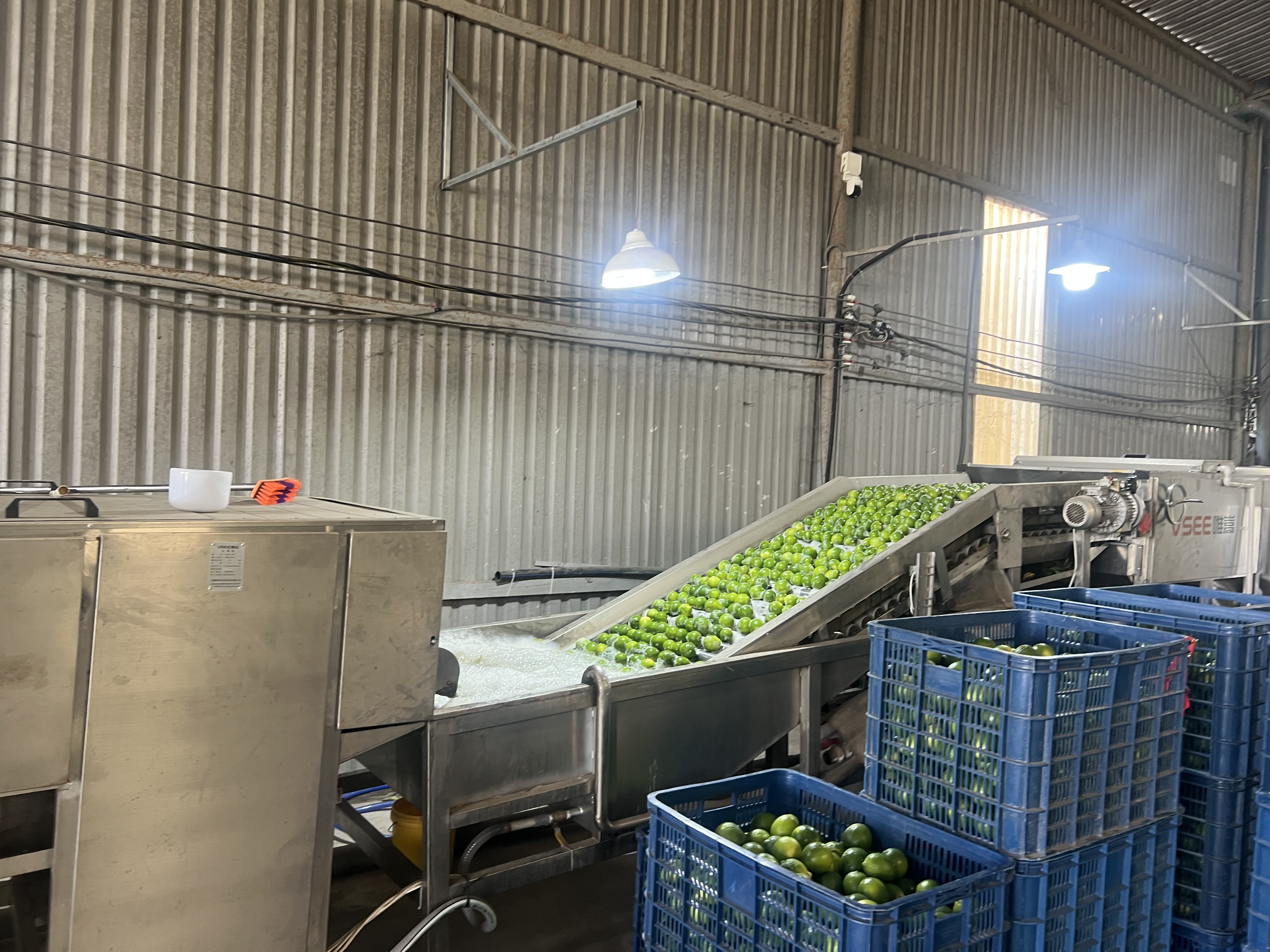 Factory & farm 5