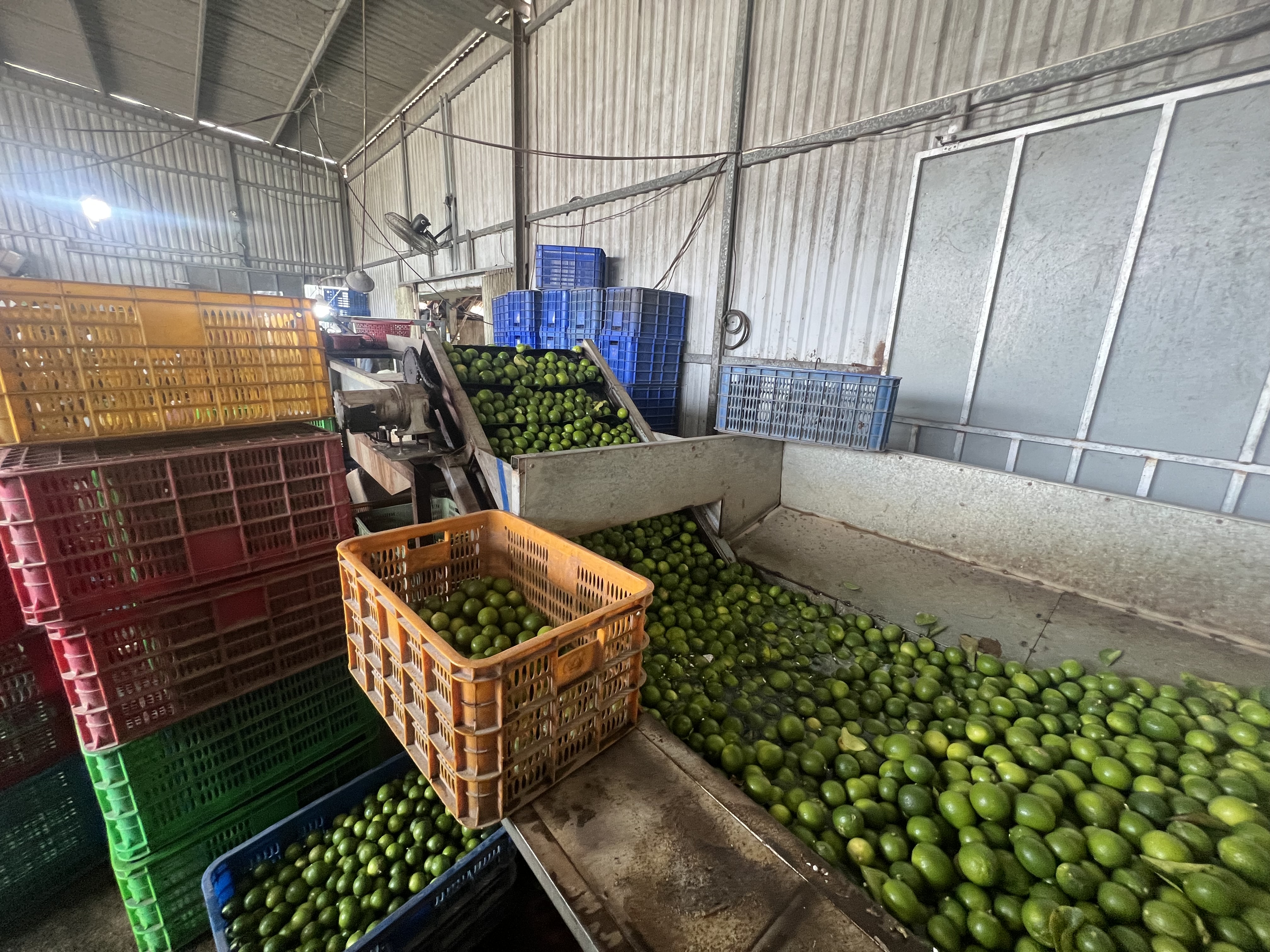 Factory & farm 6