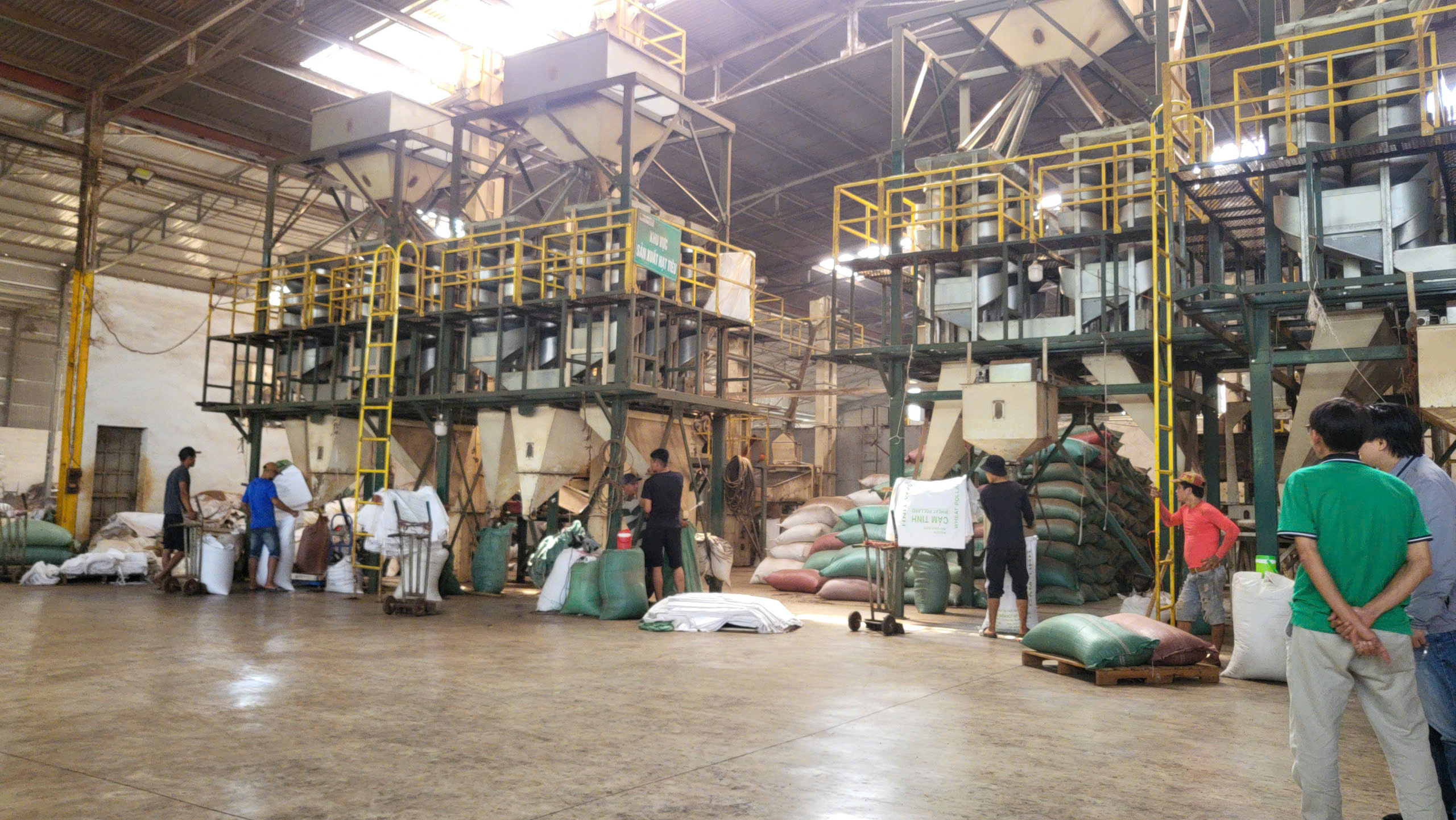 A&T Peppercorn Processing Machine