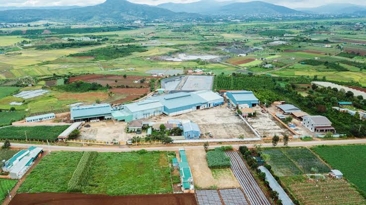 Dây chuyền chế biến ở Bình Dương