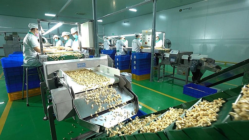 Nhà máy chế biến hạt điều