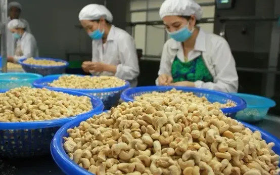 Quy trình sản xuất