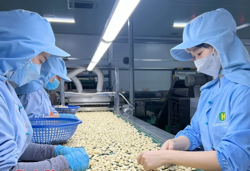 Phân Loại & Kiểm Soát Chất Lượng