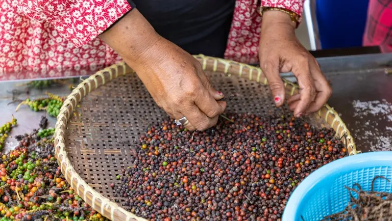 Tách hạt (sơ chế)