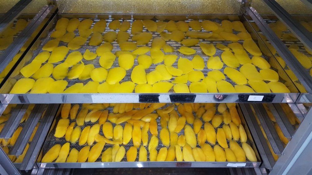 Industrial drying machine