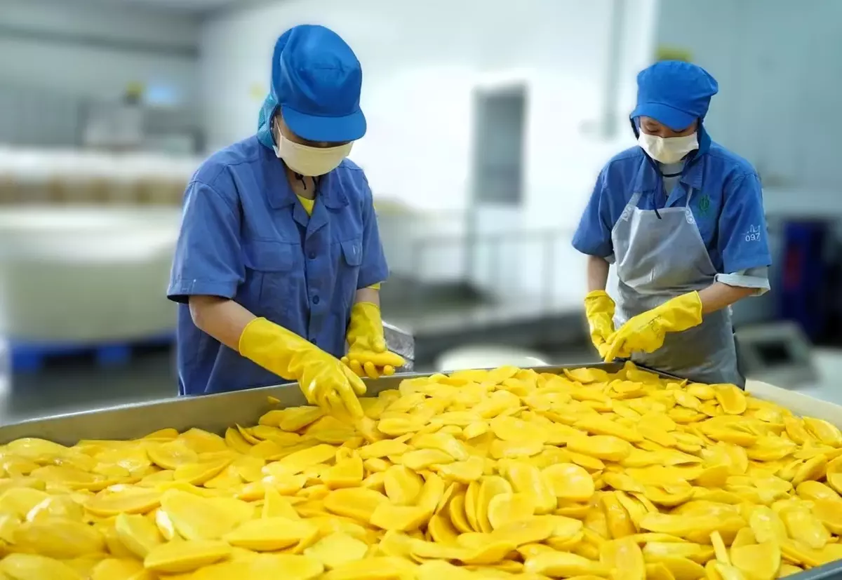 3. Cutting and product shaping
