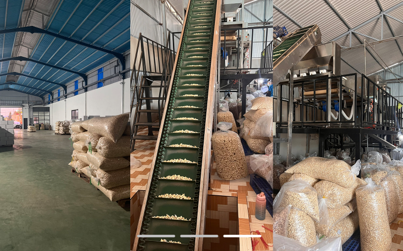 Pepper Factory