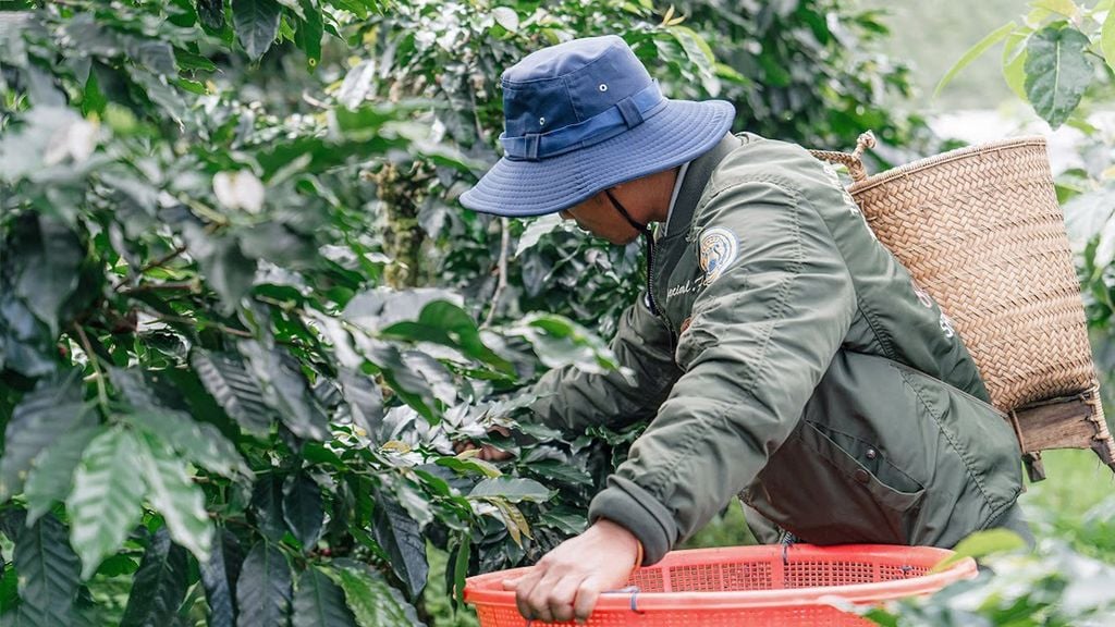 Lựa chọn và kiểm tra nguyên liệu
