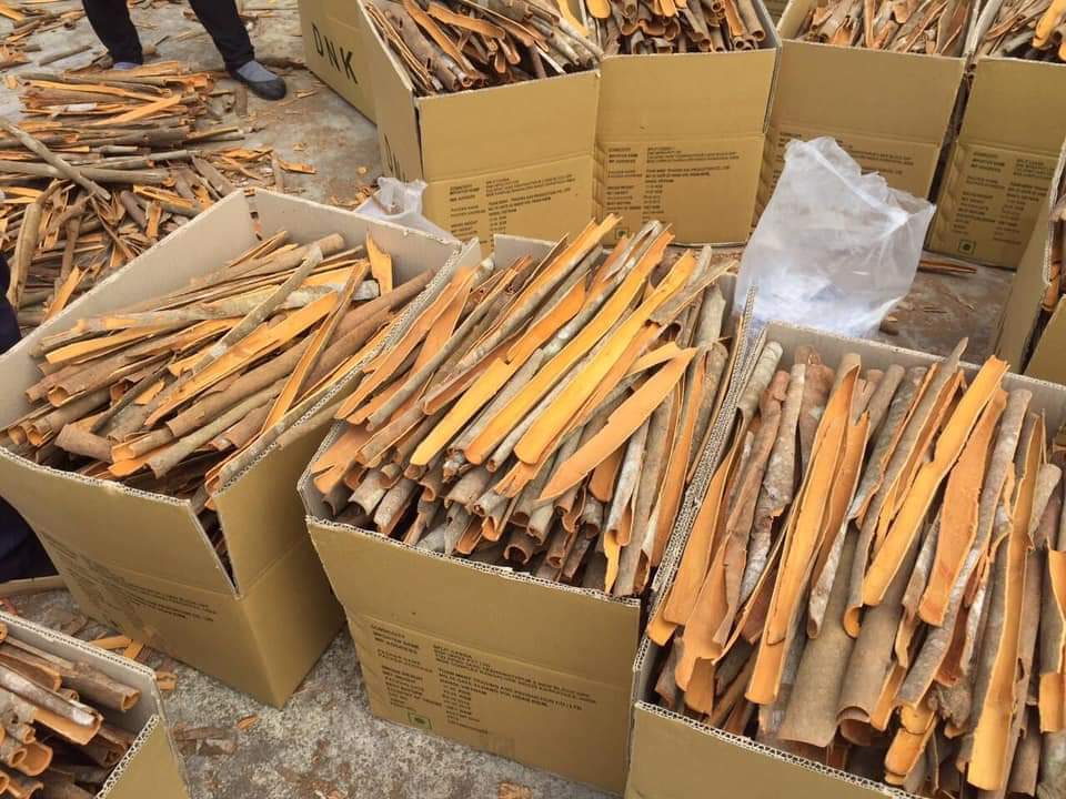 Packaging, storage, and export