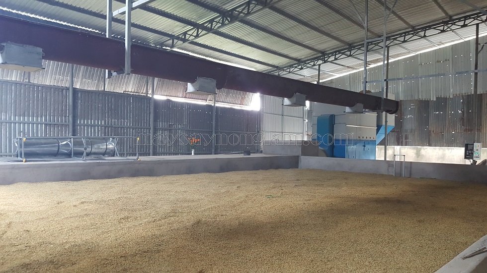 Cleaning and stabilizing drying