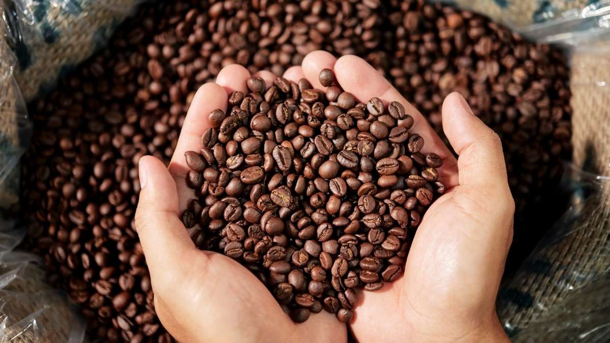 Lựa Chọn Chất Lượng