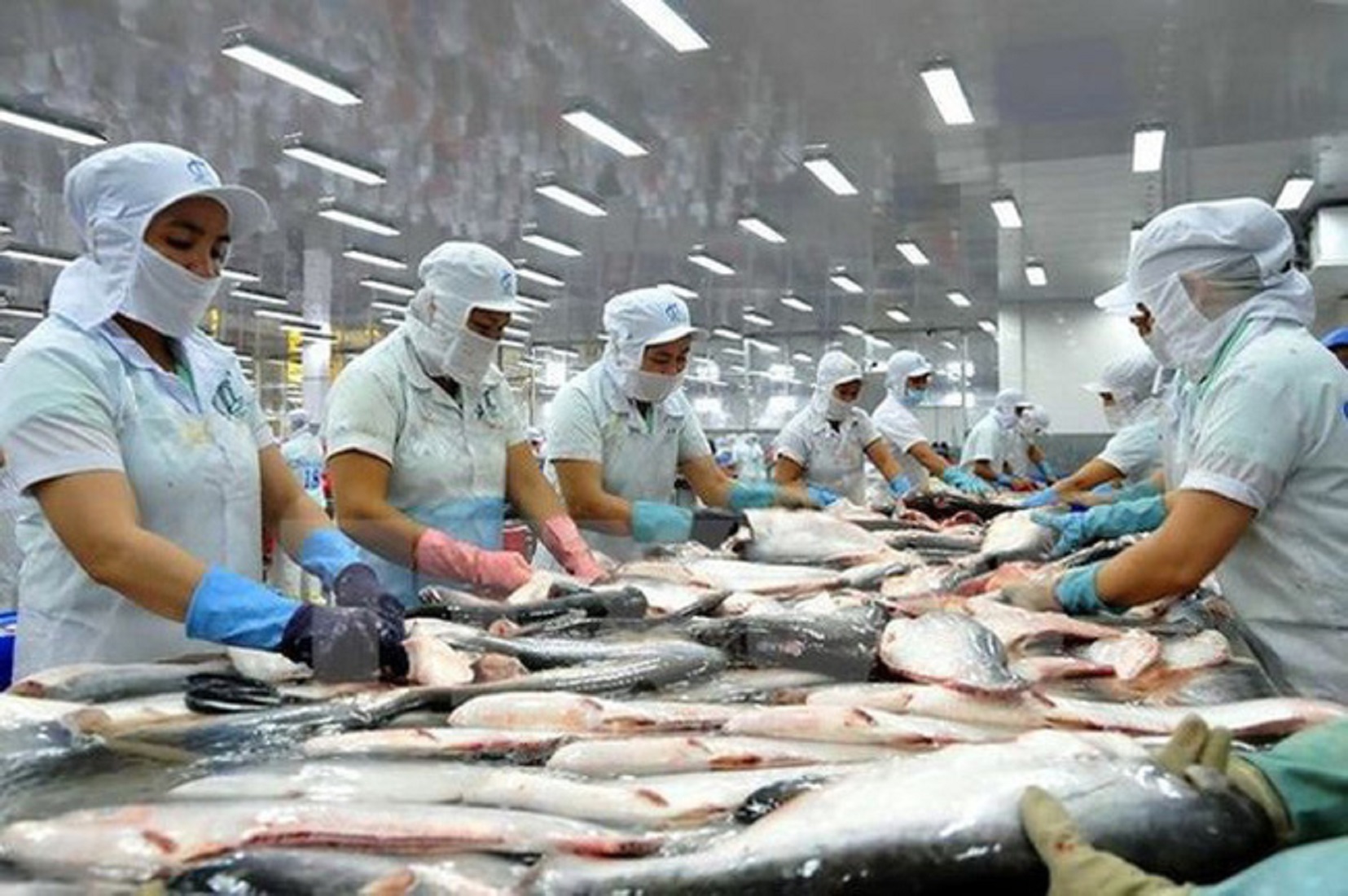 Pre-processing according to specifications