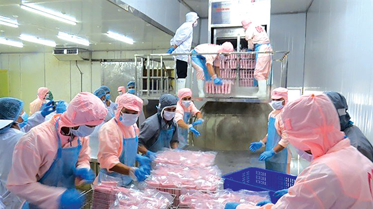 Freezing and quality inspection