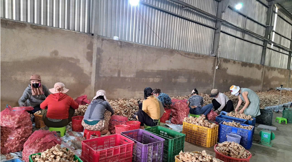 Sàng lọc sản phẩm