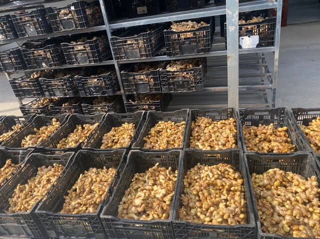 Nhận và kiểm tra ban đầu