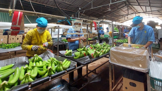 Cắt và Chuẩn Bị Sản Phẩm