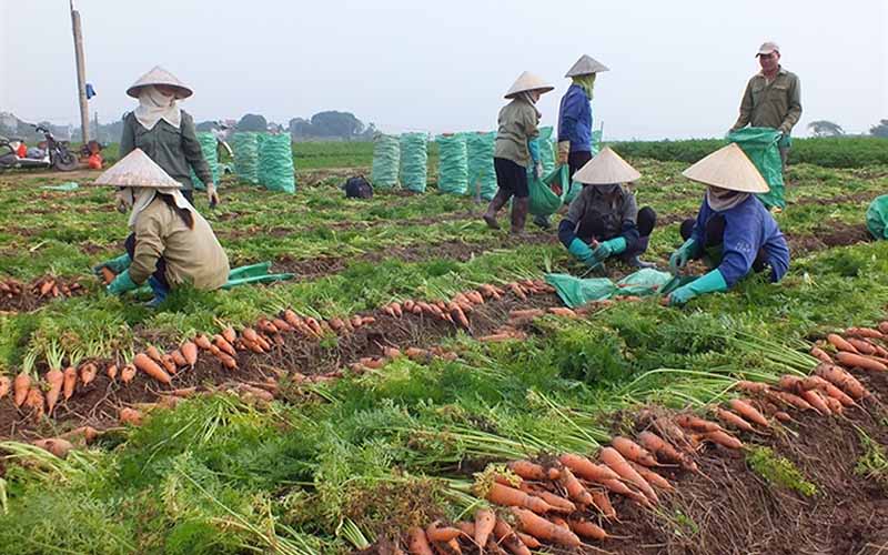 Nguồn Nguyên Liệu