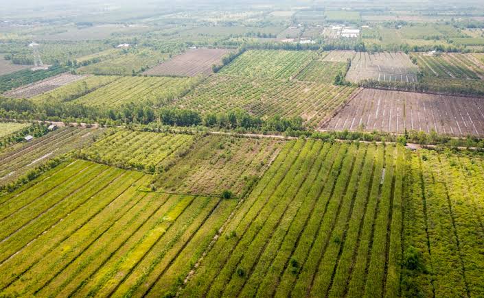 Quản lý Nông trại Chứng nhận