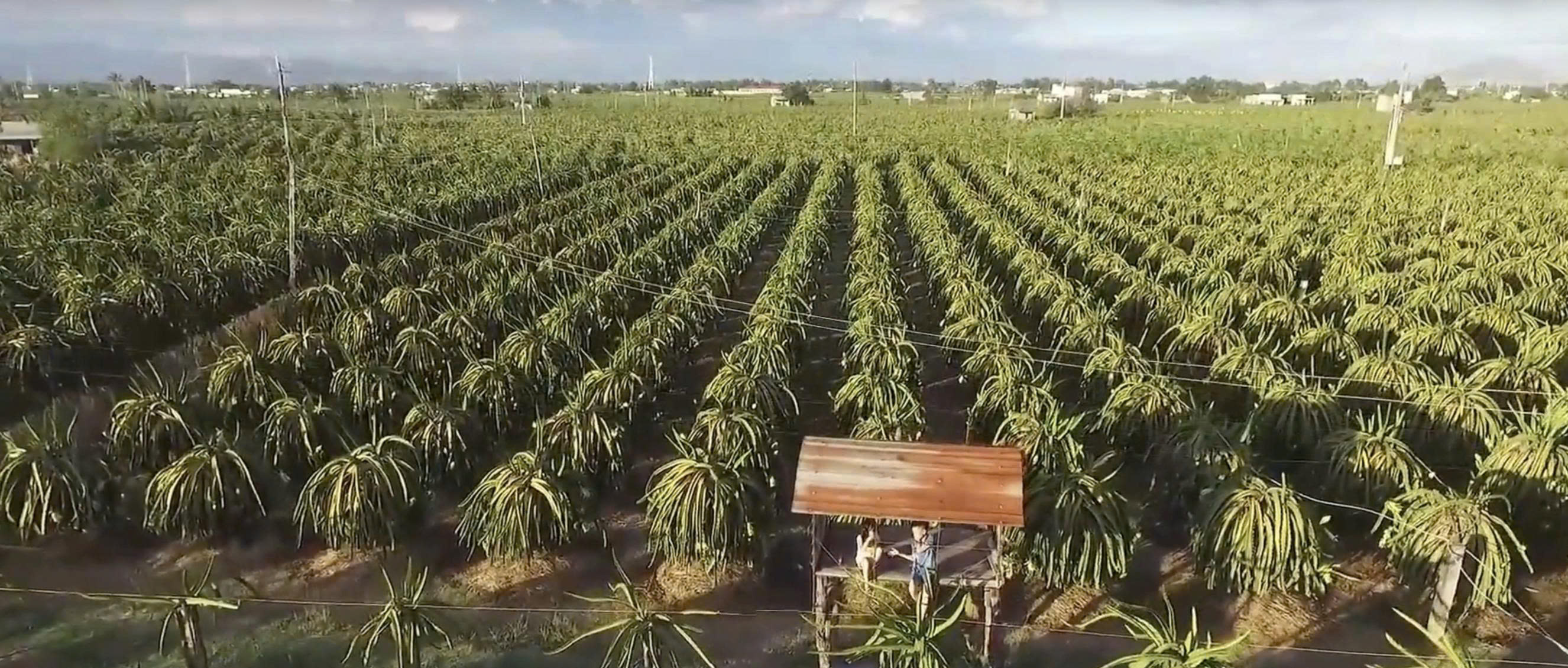 high-quality fruit-growing region