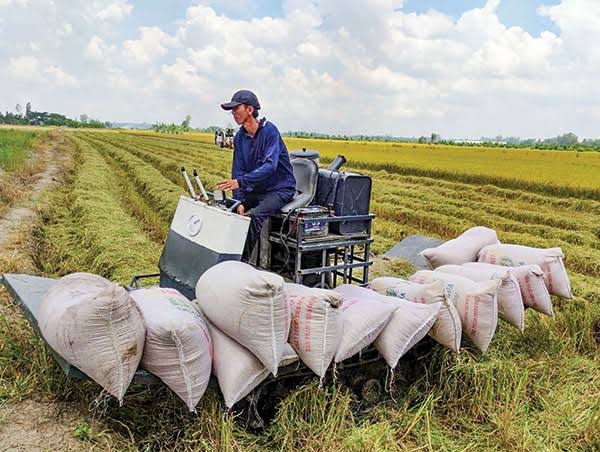 Procurement of Raw Materials