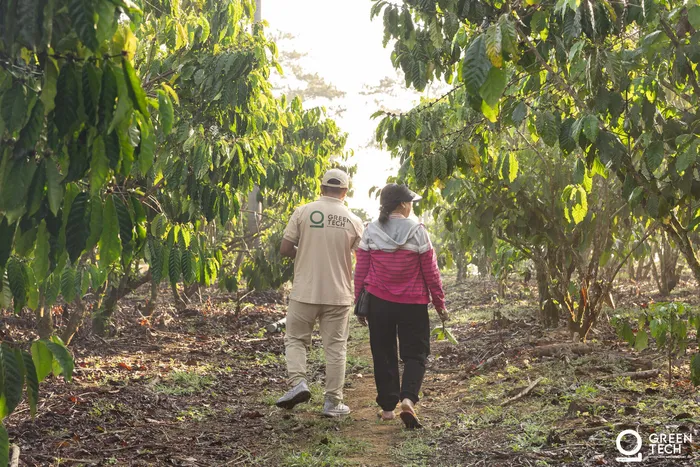 Plantation area