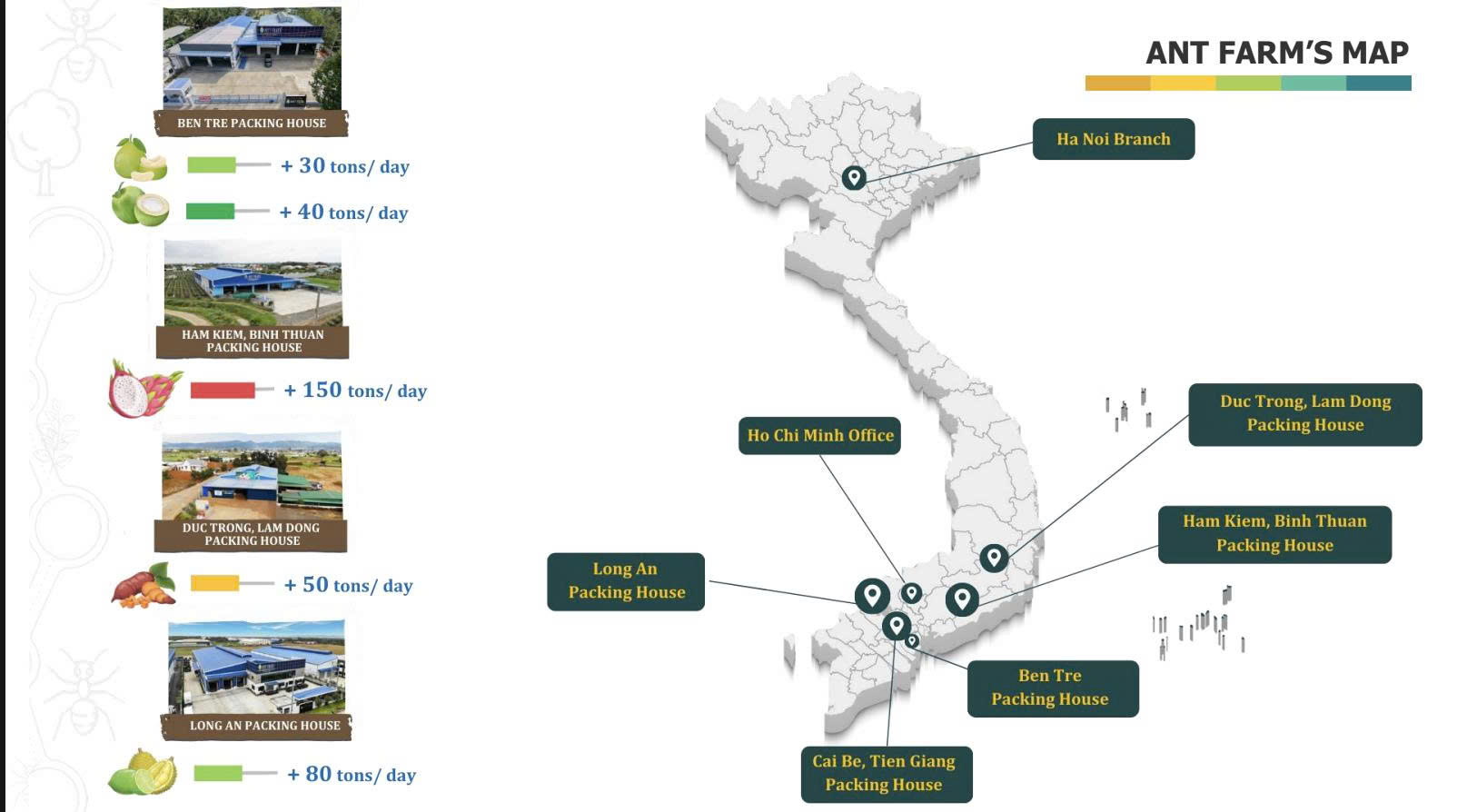 ANT FARM' MAP