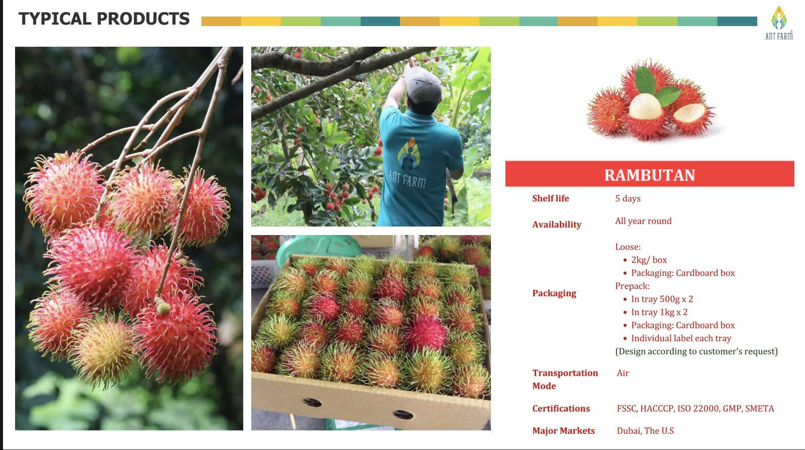 Typical product of fresh fruits list