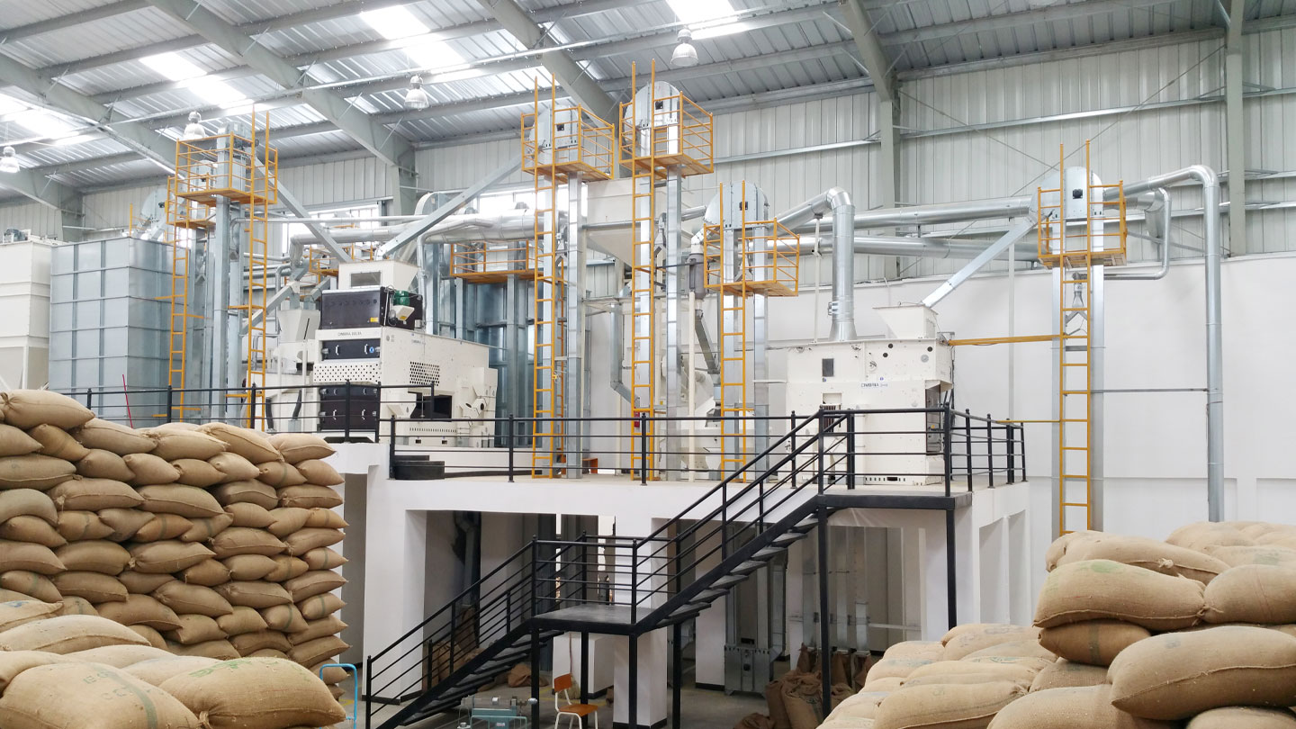 Robusta factory