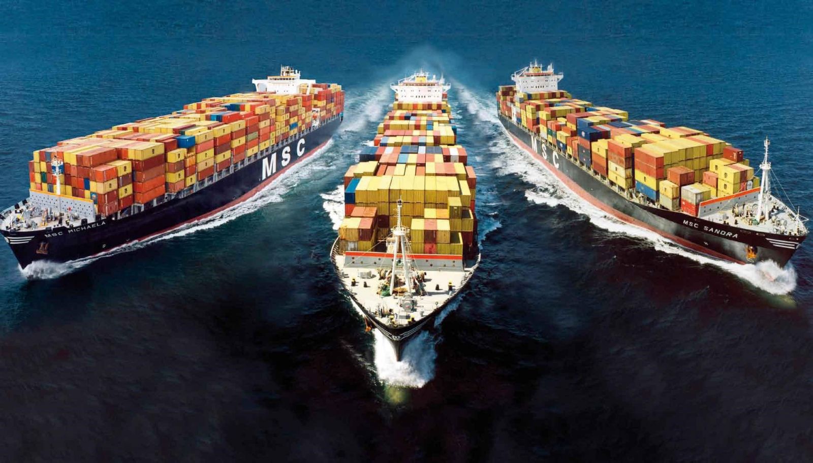 Packing and Export