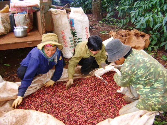 Raw Material Sourcing