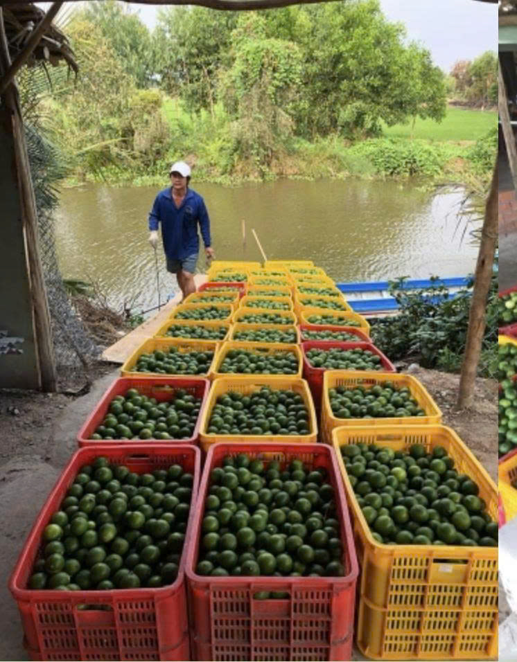 Collecting Goods from Farmers
