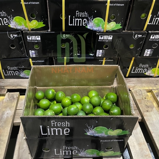 Packaging and Storage