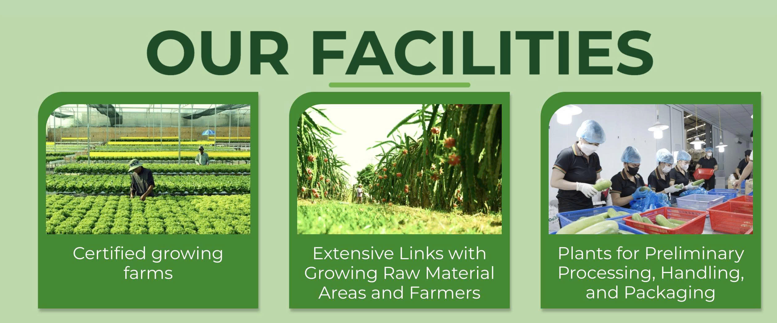 Our high-quality cultivation area