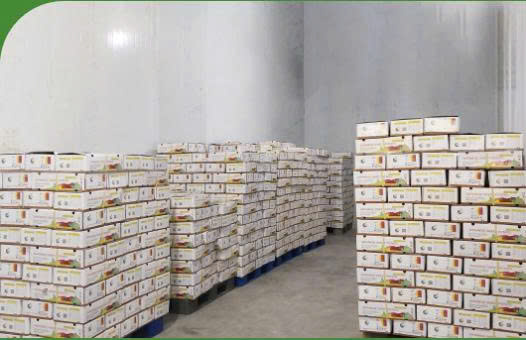 Cold Storage