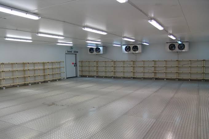 Cold Storage & International Shipment