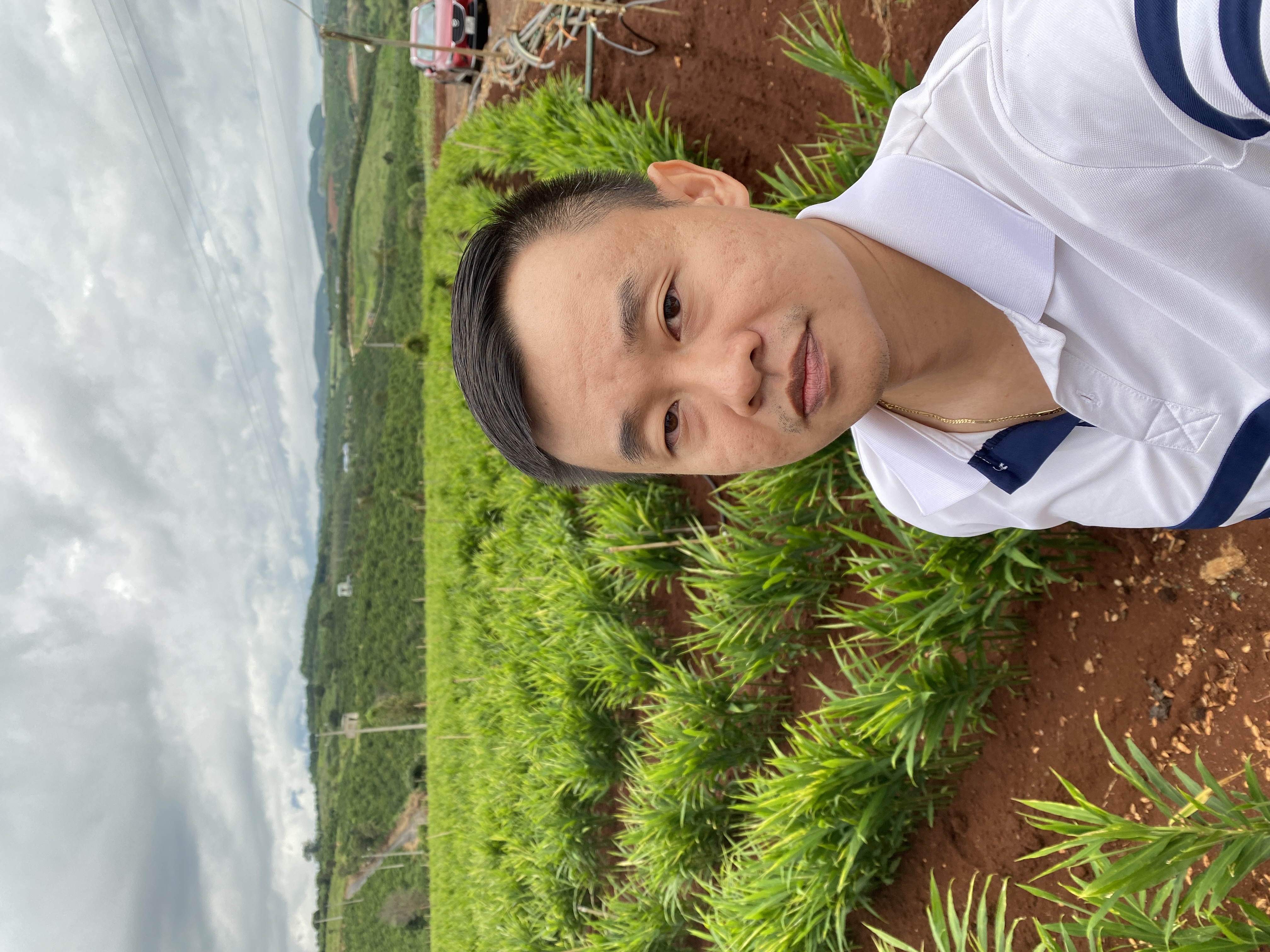 Lam Dong planting area