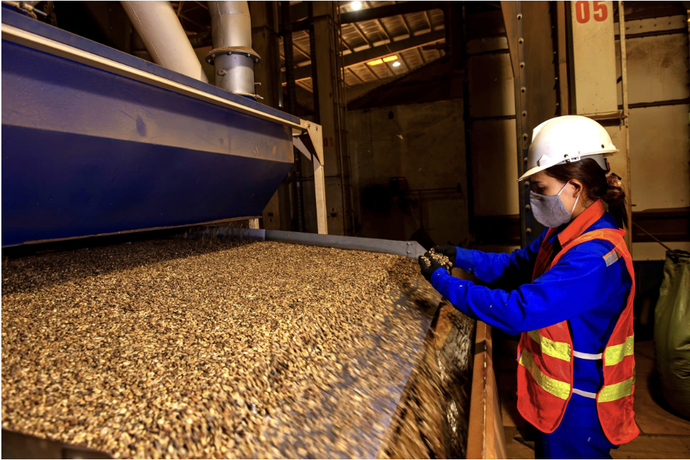 Cleaning, Grading & Quality Control