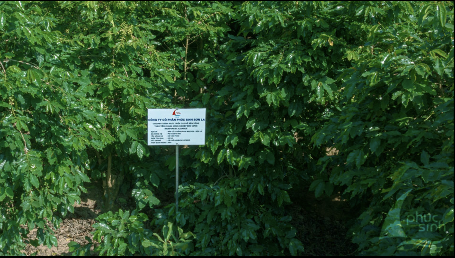 Certified Coffee Growing Areas