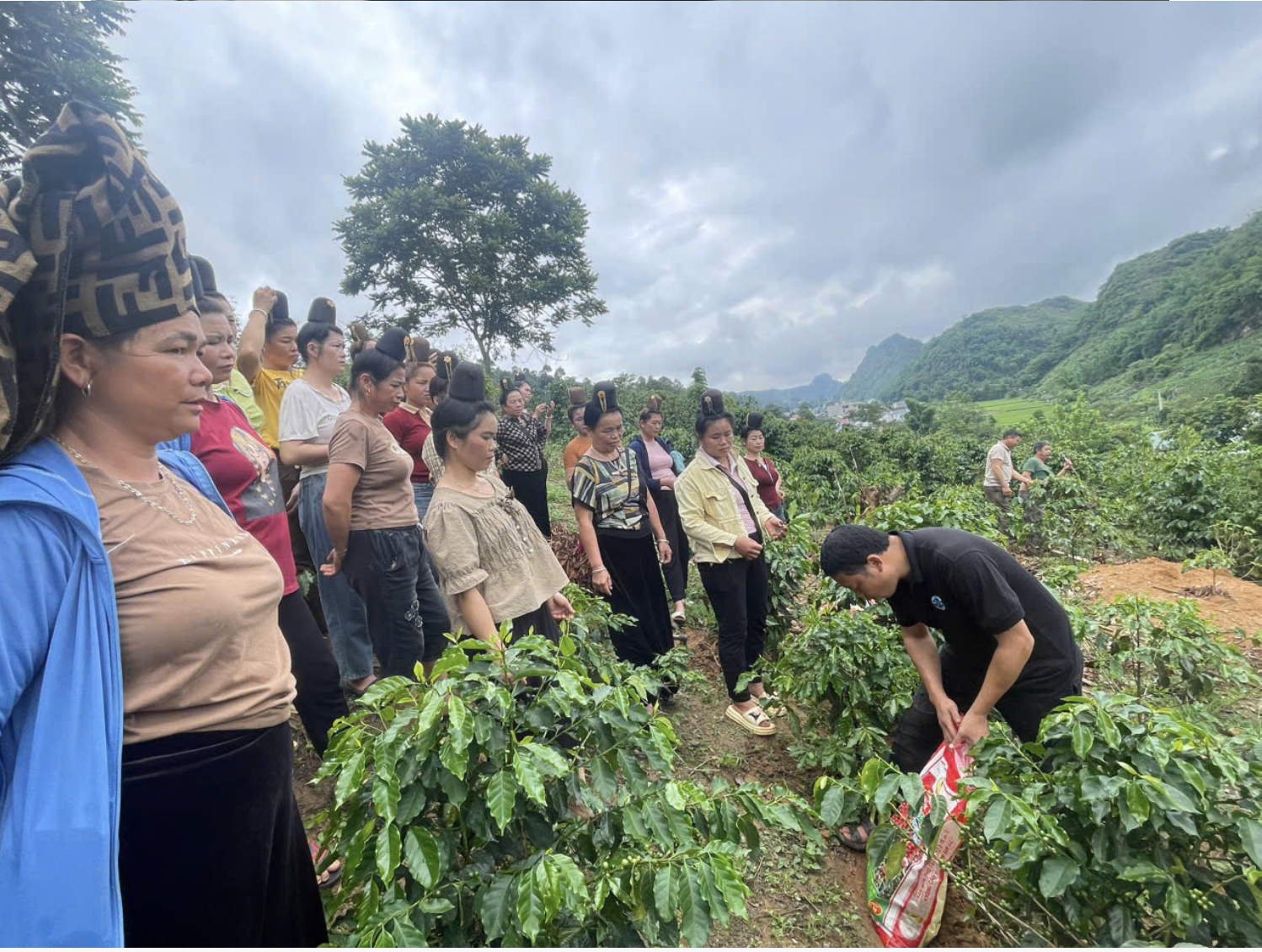 Traceability and Raw Material Inspection