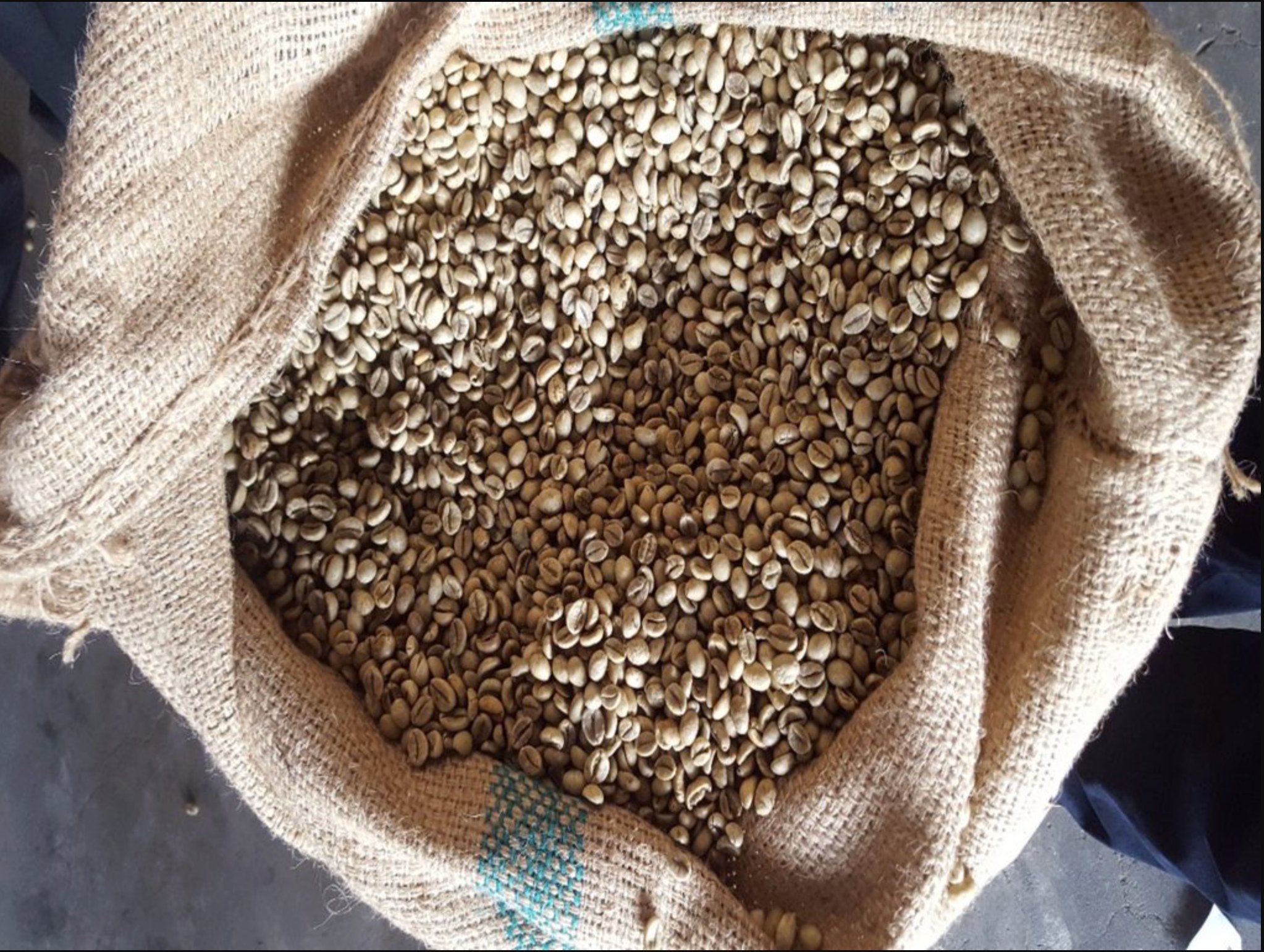 Cleaning and Primary Processing