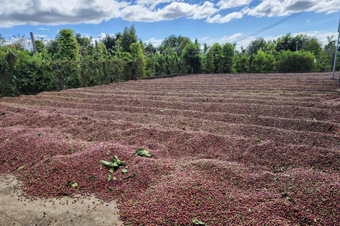 Sustainable Sourcing