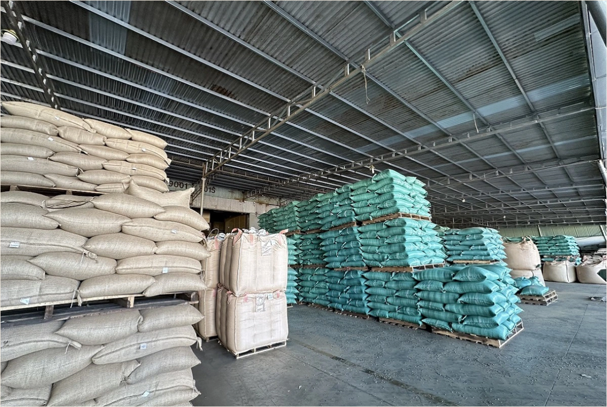 Packaging and Export