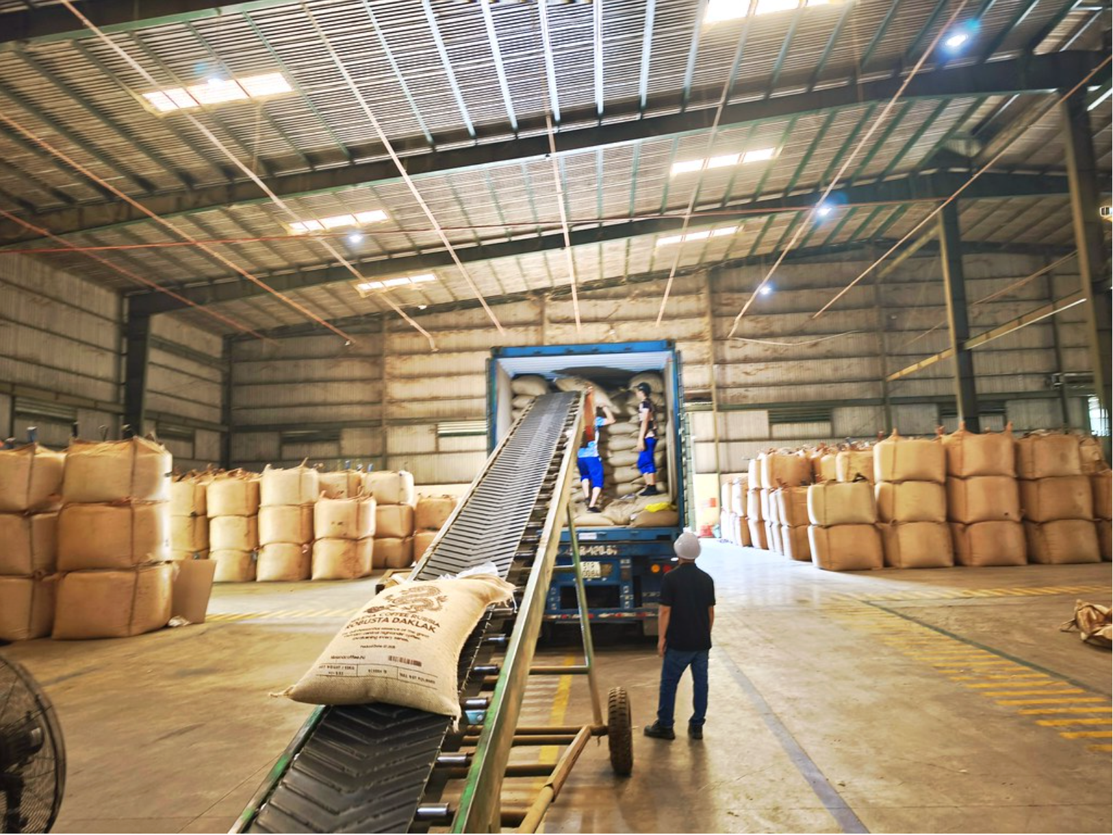 Warehouse Handling and Packing
