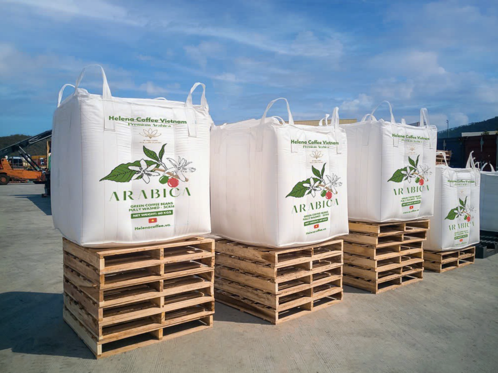 Bulk Arabica Coffee Packaging
