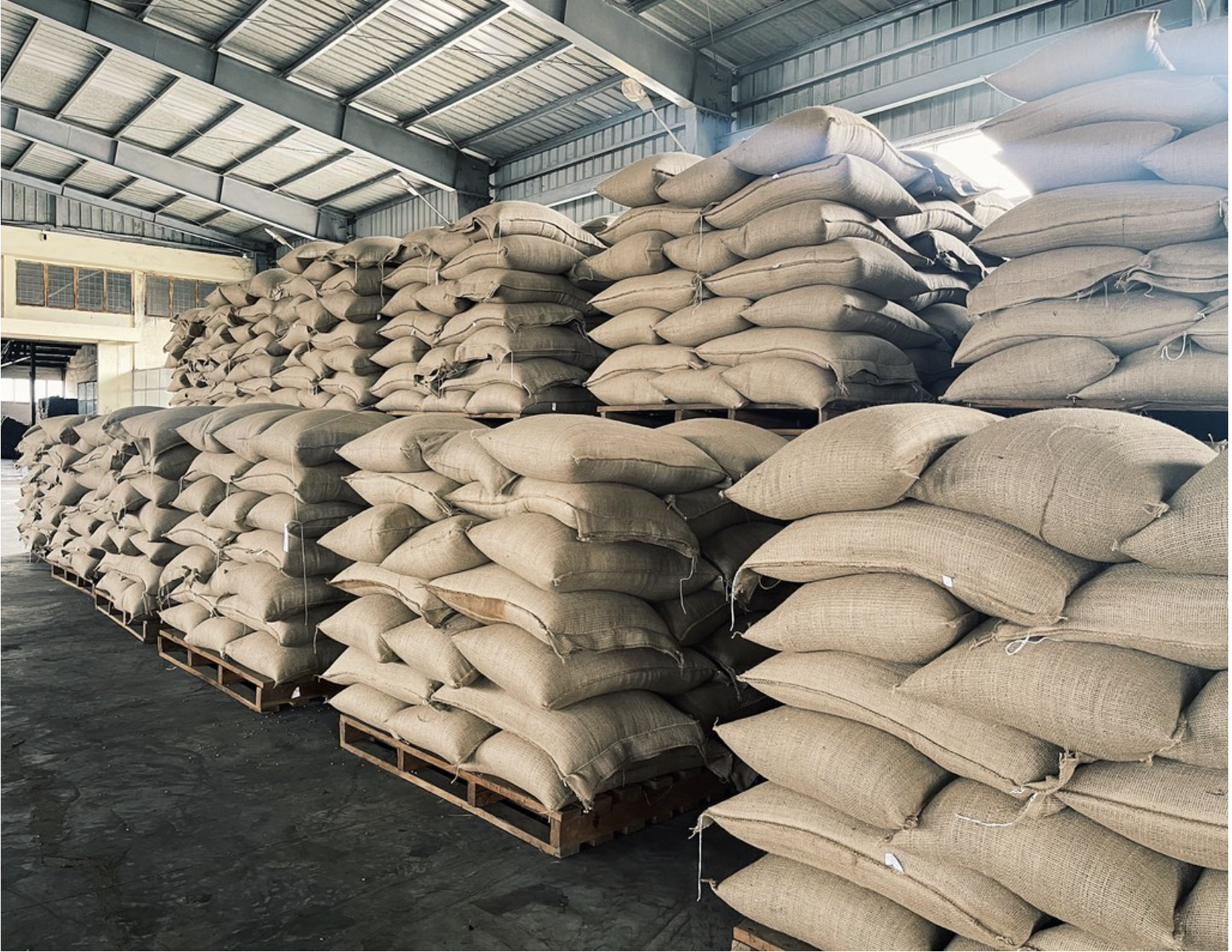 Green Coffee Storage Warehouse
