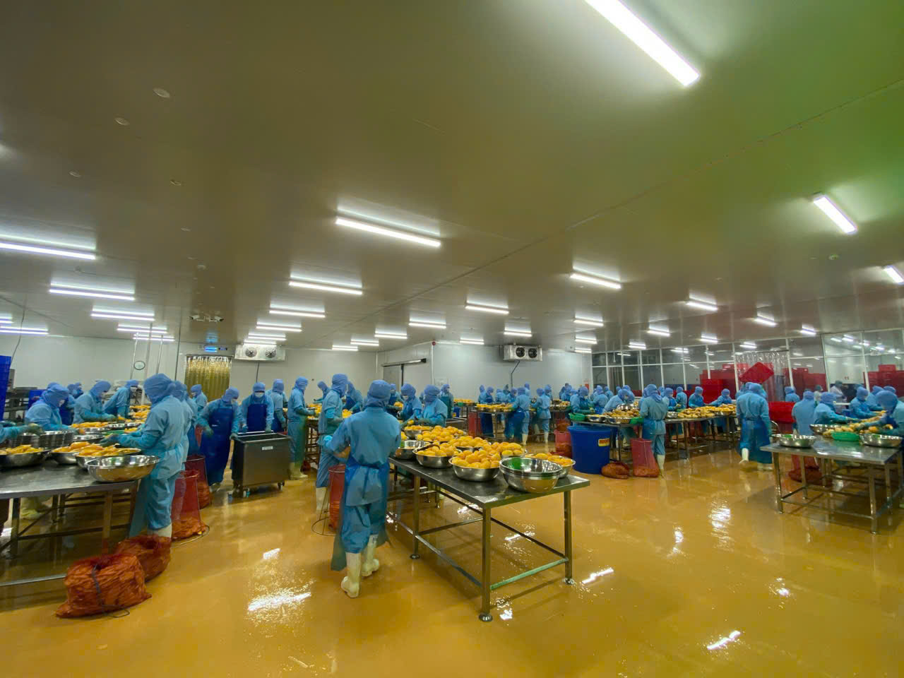 High-capacity factory